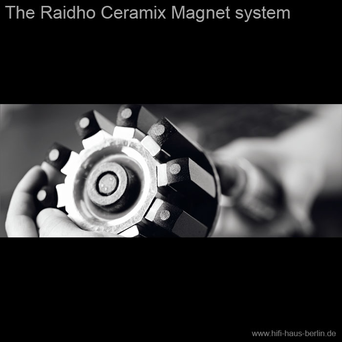Raidho Acoustics C 1.1 Ceramix Magnet System